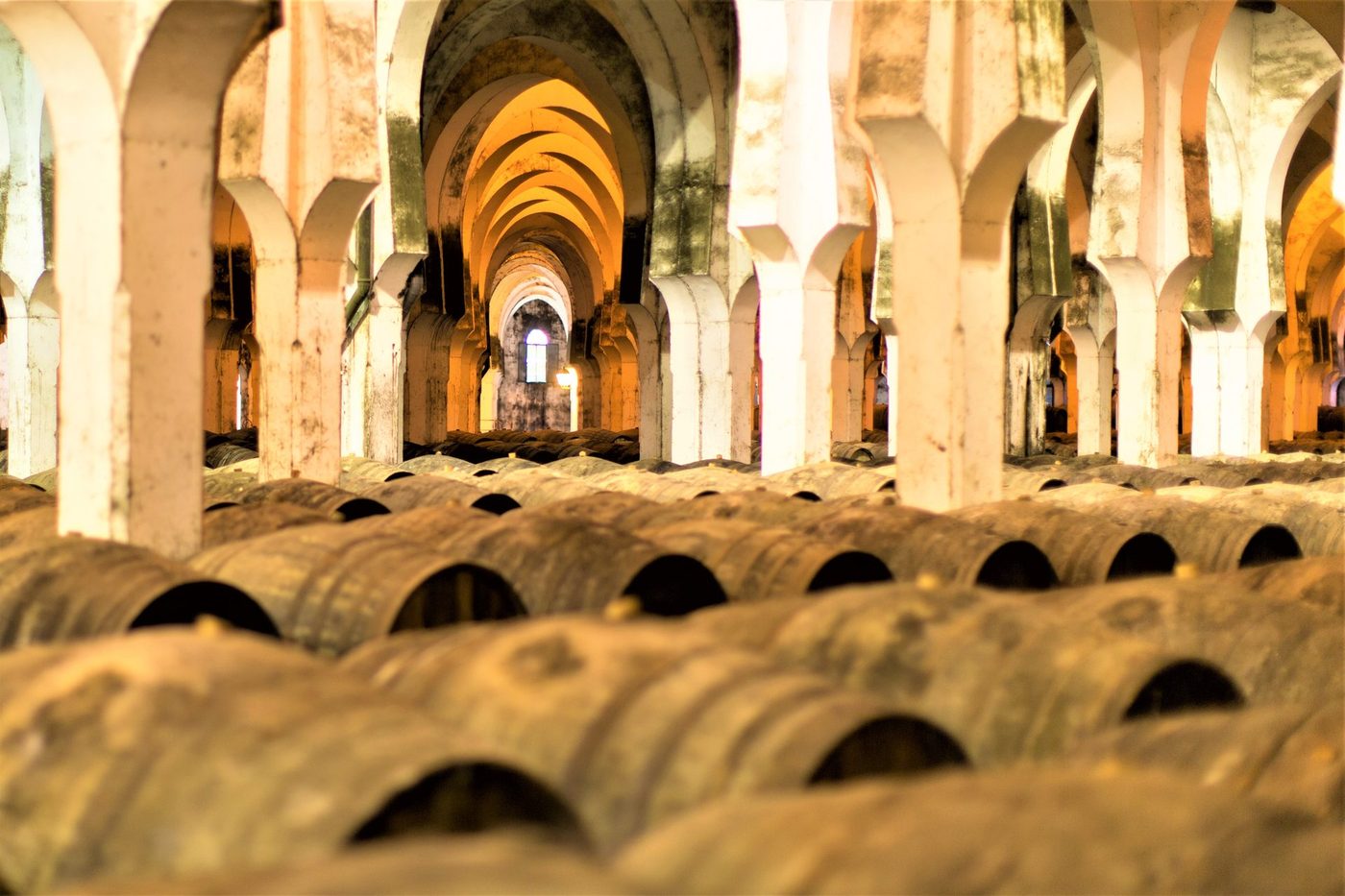 Tierra del jerez